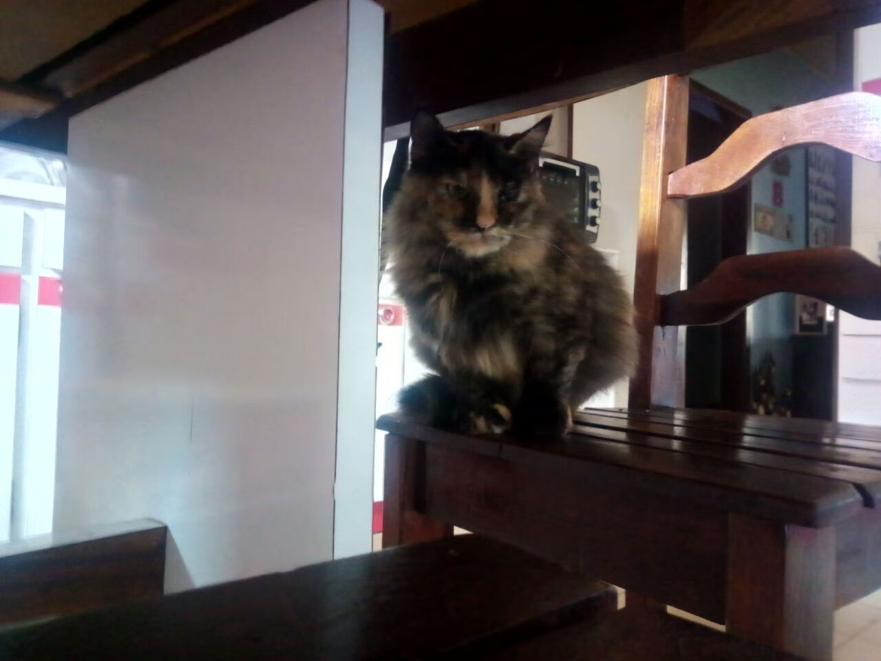 凤凰城史诗狂胜，欧文化身黑夜中的掌灯人