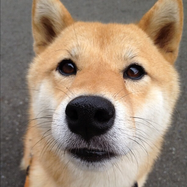 开云体育app-曼城王子登基夜，威尔士血性浇铸亚特兰大之殇