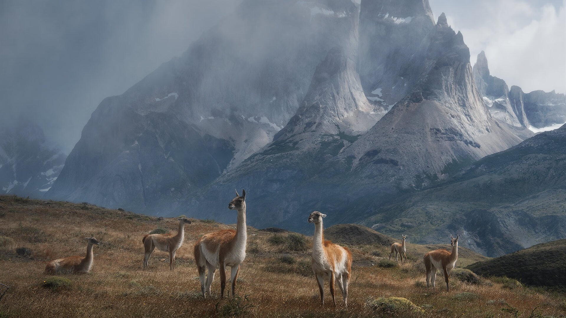 德布劳内冰与火之歌，瑞典单节风暴击碎卡塔尔幻梦