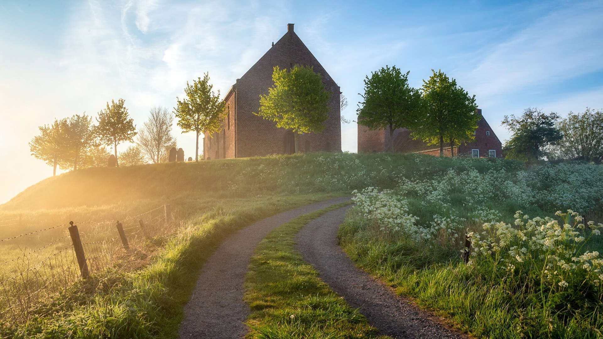 逆袭者的时刻，美国梦的烟花与罗德里戈最后的审判