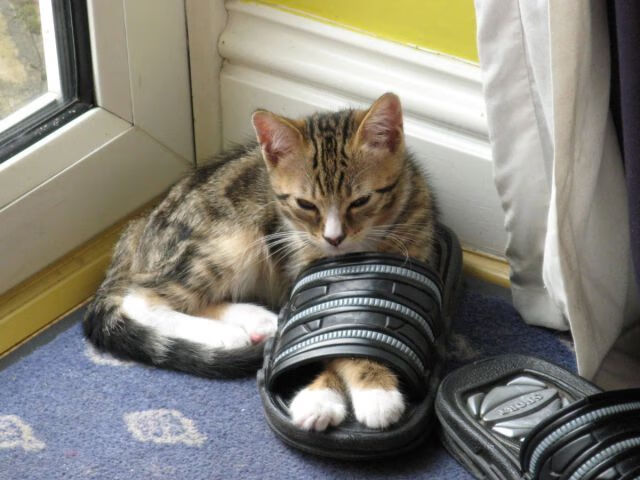 孔德时刻，奥运资格关键战，她以一己之力为瑞典按下加速键