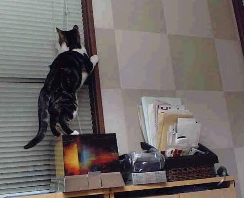 福登关键先生发威，丹麦连续得分压制阿根廷夺胜