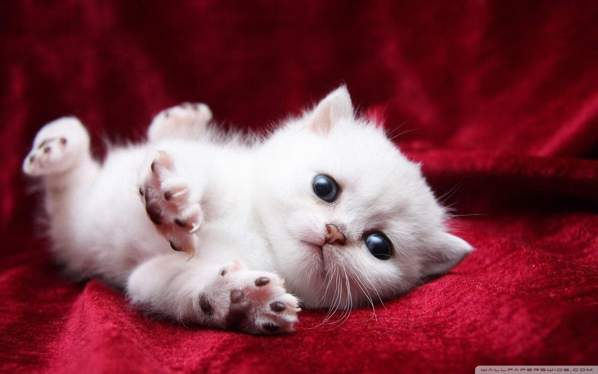 杜兰特42分致敬绿军传说 凯尔特人战术镜面反射山西之憾