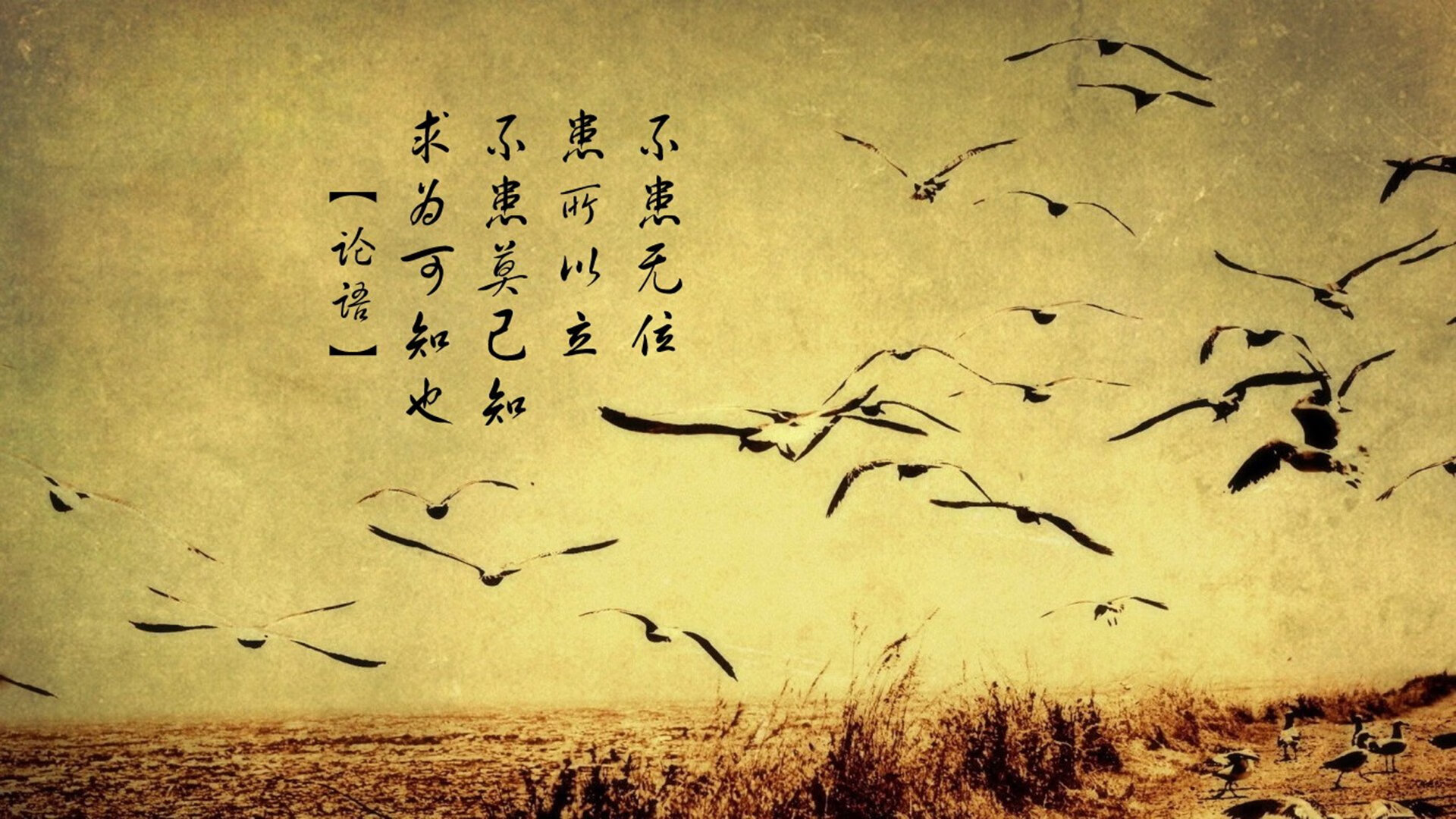 数据隐身人却是大场面先生,武切维奇一攻一防撕碎爵士