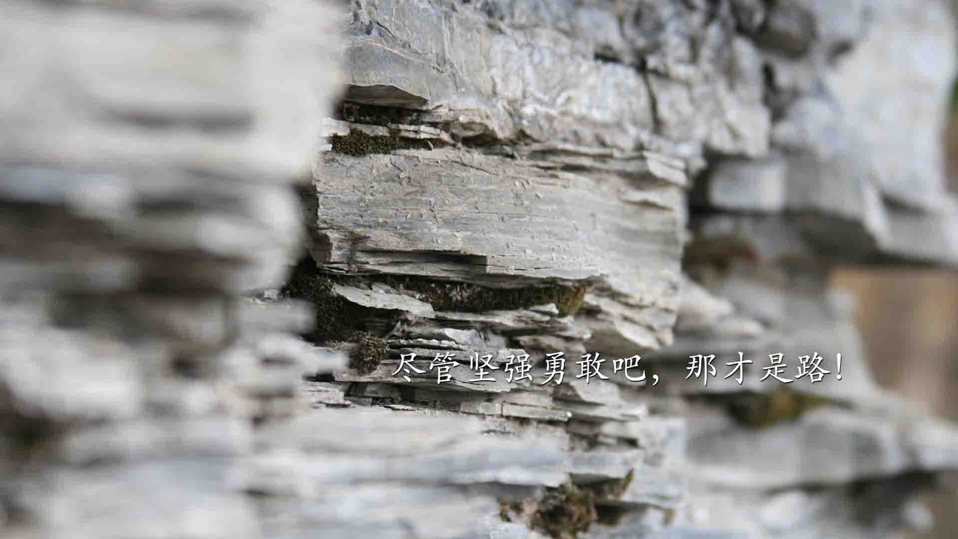 北欧德比变天，瑞典三叉戟碾压挪威，加维点亮2026世界杯唯一不败金身