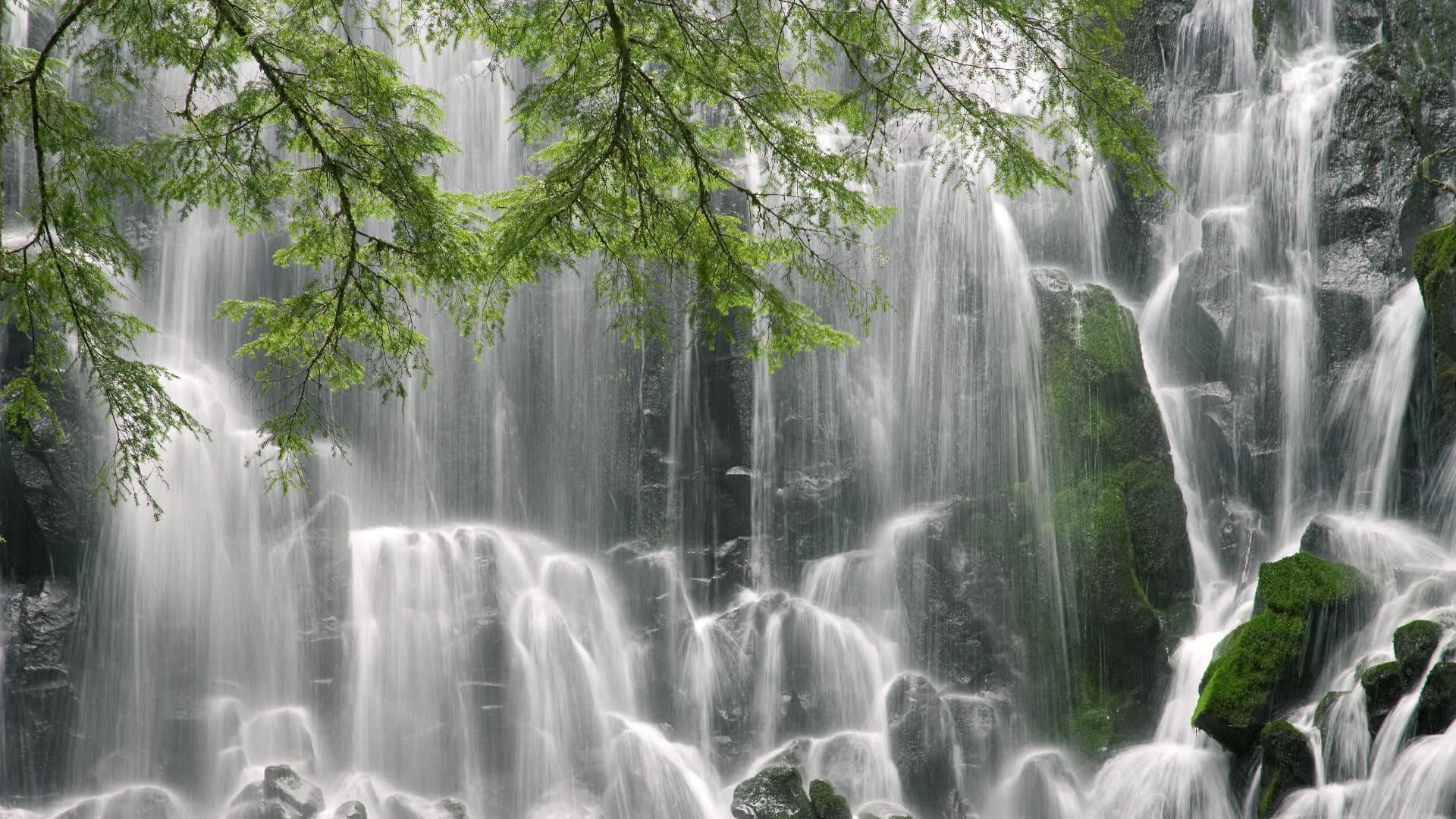 为了构建这个唯一性的故事,我们必须找到一个超越常理的叙事逻辑。以下是我的构思