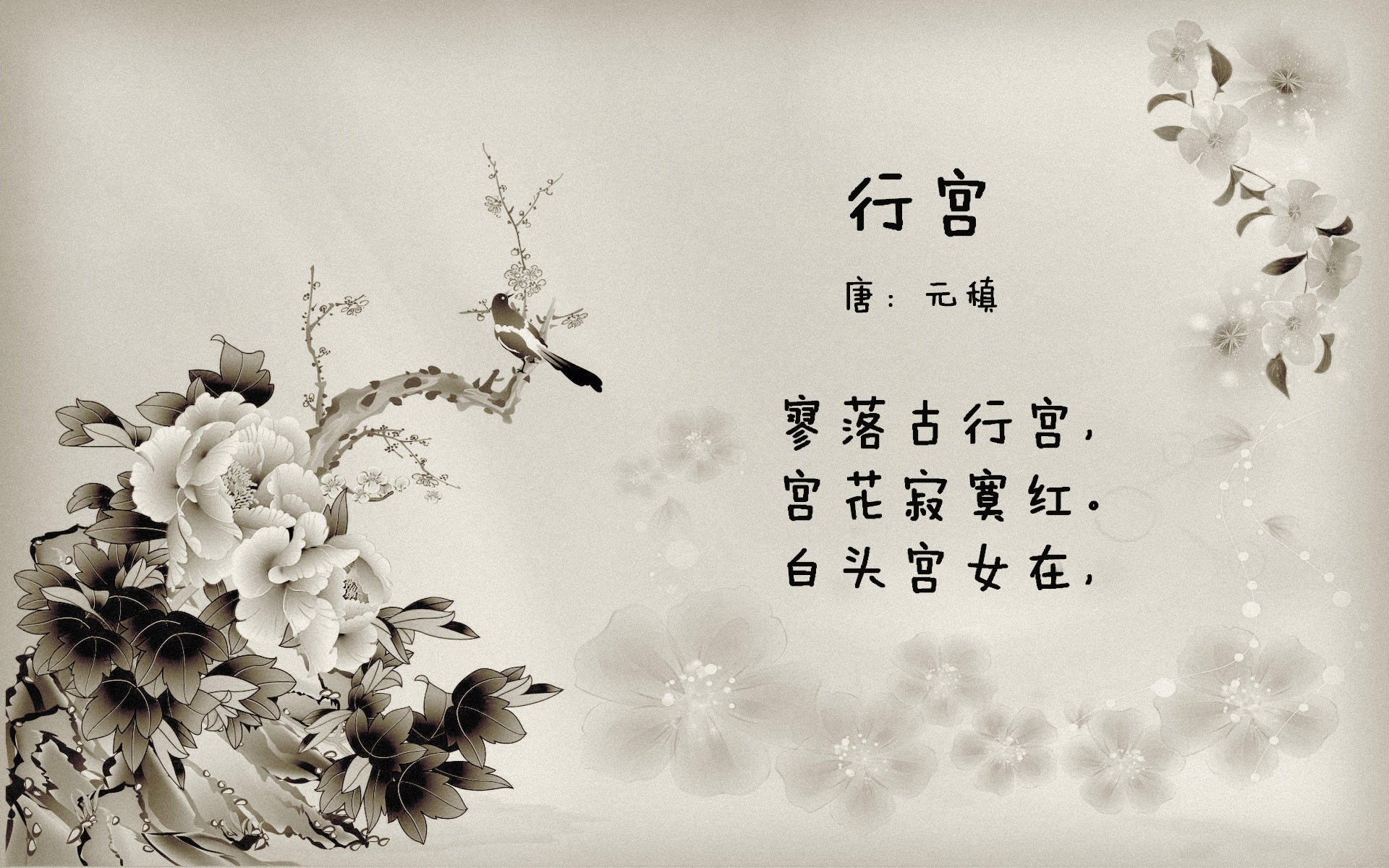 黑马狂奔,蓝月闪耀,摩洛哥北非之墙碾碎越南,坎塞洛剑指王座